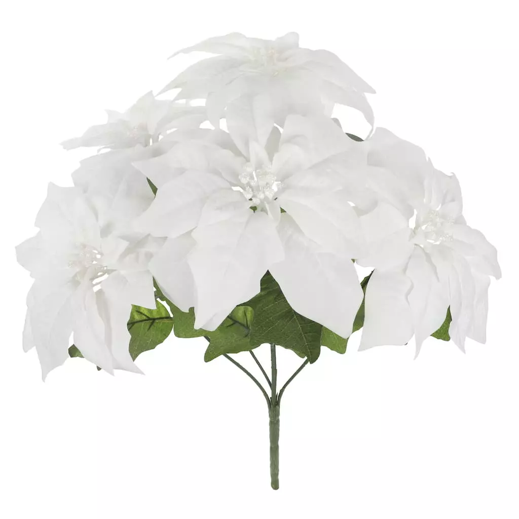 Brand new ✨ White Poinsettia Bush by Ashland® ✨ 3 Brand new ✨ White Poinsettia Bush by Ashland® ✨