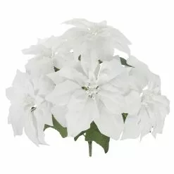 Brand new ✨ White Poinsettia Bush by Ashland® ✨ 7 Brand new ✨ White Poinsettia Bush by Ashland® ✨ -Michaels Store 10700148 2