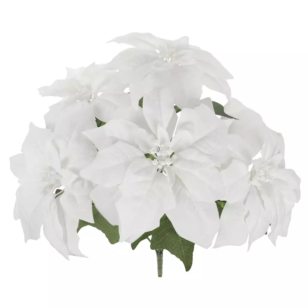 Brand new ✨ White Poinsettia Bush by Ashland® ✨ 5 Brand new ✨ White Poinsettia Bush by Ashland® ✨ - Image 3