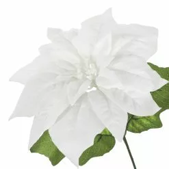 Brand new ✨ White Poinsettia Bush by Ashland® ✨ 6 Brand new ✨ White Poinsettia Bush by Ashland® ✨ -Michaels Store 10700148 3