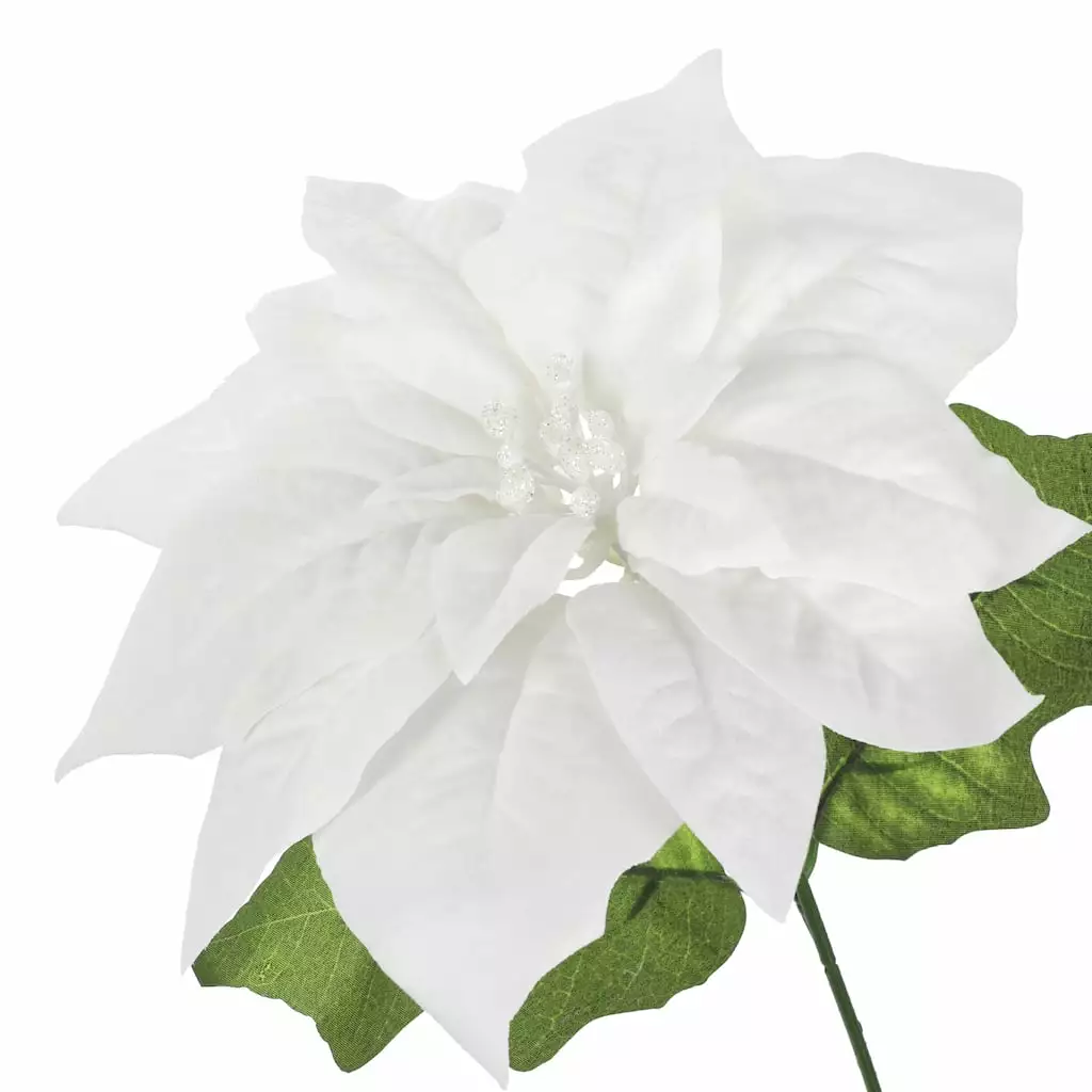 Brand new ✨ White Poinsettia Bush by Ashland® ✨ 4 Brand new ✨ White Poinsettia Bush by Ashland® ✨ - Image 2