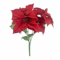 Outlet 🔔 Dark Red Poinsettia Bush by Ashland® 🧨
