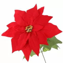 Cheapest ✨ Red Poinsettia Bush by Ashland® ⌛ -Michaels Store 10700151 3