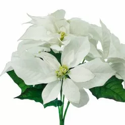 Budget ❤️ White Poinsettia Bush by Ashland® 🎁 5 Budget ❤️ White Poinsettia Bush by Ashland® 🎁 -Michaels Store 10700154 2