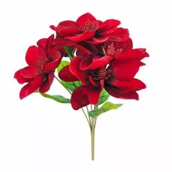 Best deal ⌛ Burgundy Magnolia Bush by Ashland® ✨