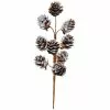 Brand new ๐ Snowy Pinecone Pick by Ashland® ๐ 2 Brand new ๐ Snowy Pinecone Pick by Ashland® ๐ -Michaels Store 10700365 1