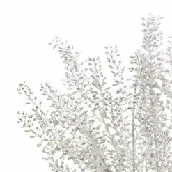 Budget 👍 White Berry Bush by Ashland® ⌛ -Michaels Store 10700376 3