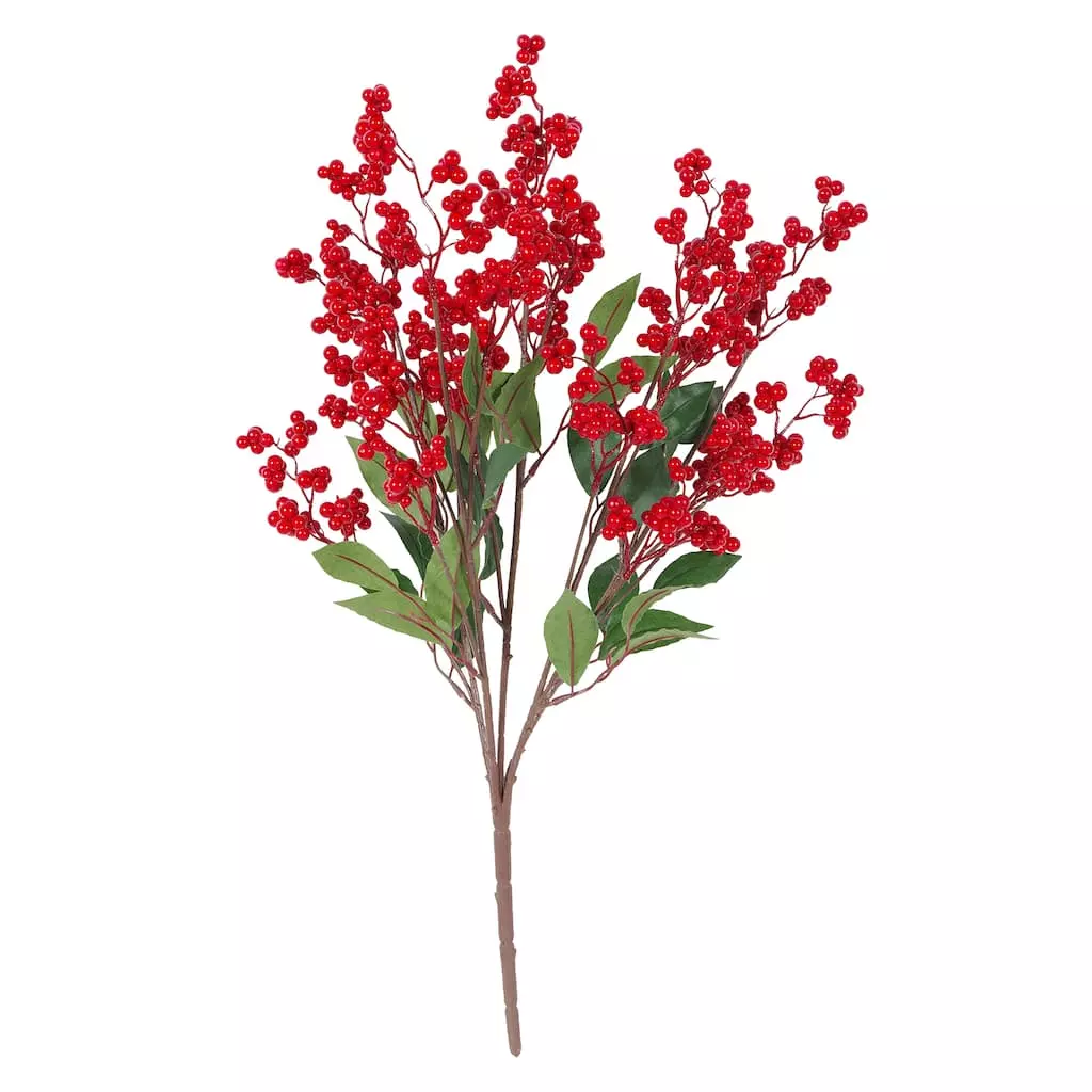Discount 🎁 Red Berry Bush by Ashland® 😉 3 Discount 🎁 Red Berry Bush by Ashland® 😉
