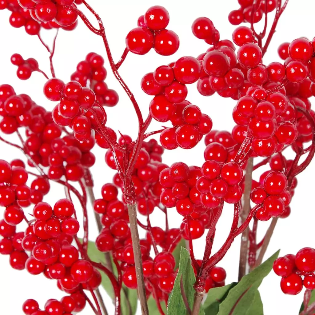 Discount 🎁 Red Berry Bush by Ashland® 😉 4 Discount 🎁 Red Berry Bush by Ashland® 😉 - Image 2