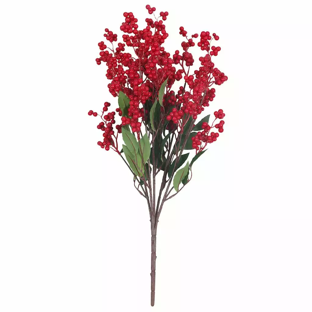 Discount 🎁 Red Berry Bush by Ashland® 😉 5 Discount 🎁 Red Berry Bush by Ashland® 😉 - Image 3