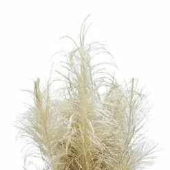 Best Sale 🎁 Assorted Glitter Pampas Bush by Ashland® 🧨 -Michaels Store 10700399 5