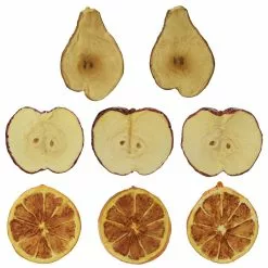 Promo 🔔 Decorative Fruit Slices by Ashland® ⭐
