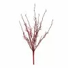 Buy ⌛ Red Twig Branch by Ashland® 👏 -Michaels Store 10700710 1