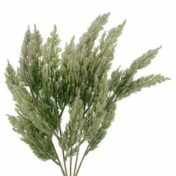 Cheap ❤️ Juniper Bush by Ashland® 🥰 -Michaels Store 10700714 2