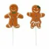 Best reviews of 🤩 Assorted Gingerbread Pick by Ashland® Christmas 👍