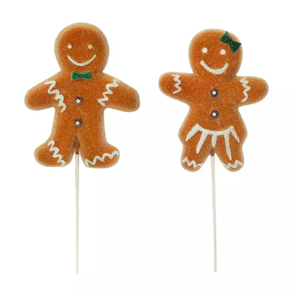 Best reviews of 🤩 Assorted Gingerbread Pick by Ashland® Christmas 👍 3 Best reviews of 🤩 Assorted Gingerbread Pick by Ashland® Christmas 👍