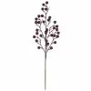 Buy 🎁 Glittery Purple Berry Stem by Ashland® 😍