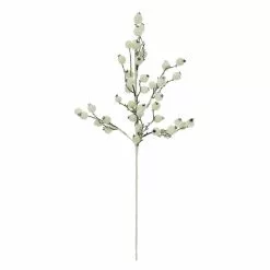 Top 10 🤩 White Berry Twig Stem by Ashland® 💯