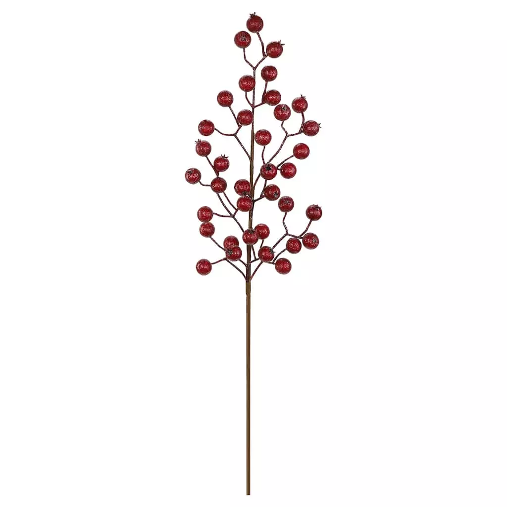 Budget โญ Iced Red Rose Berry Stem by Ashland® ๐ 3 Budget โญ Iced Red Rose Berry Stem by Ashland® ๐