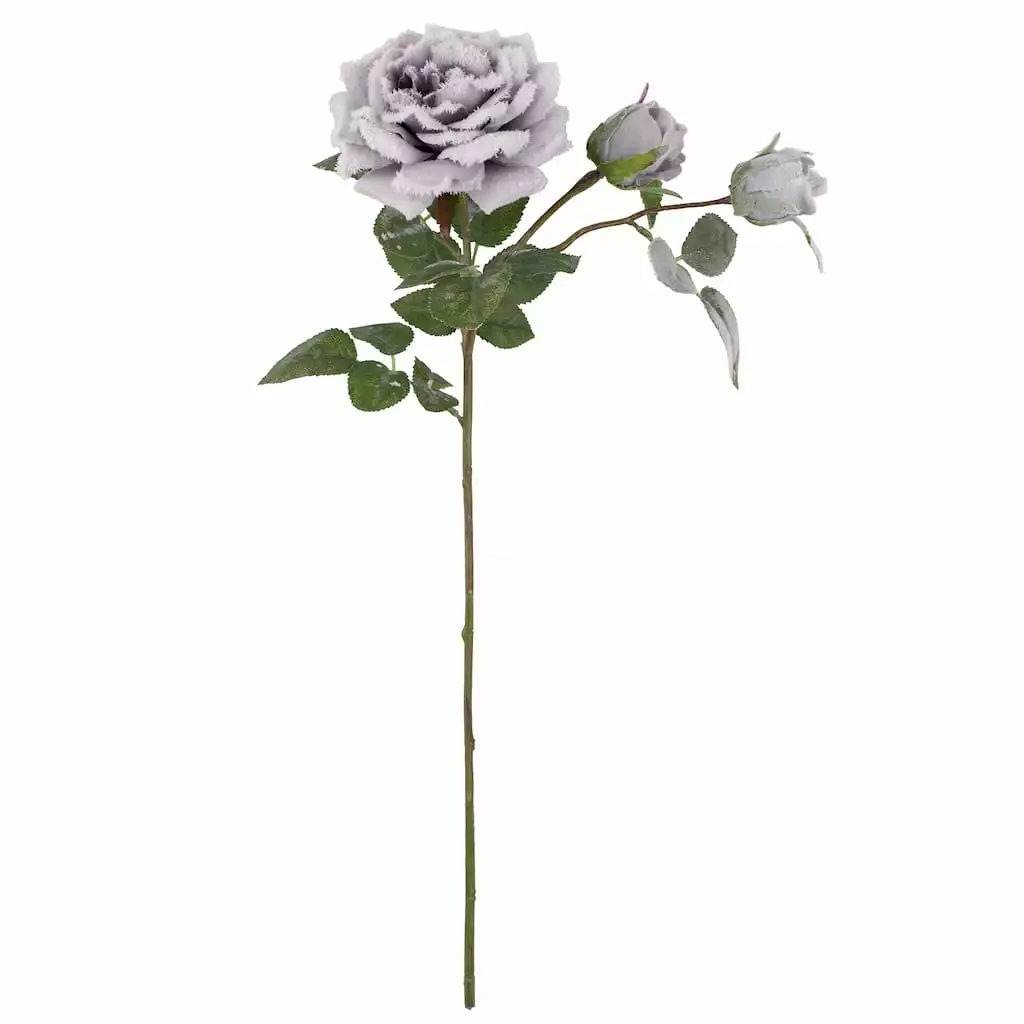 Promo 🎉 Gray Snowy Rose Stem by Ashland® ✨ 3 Promo 🎉 Gray Snowy Rose Stem by Ashland® ✨
