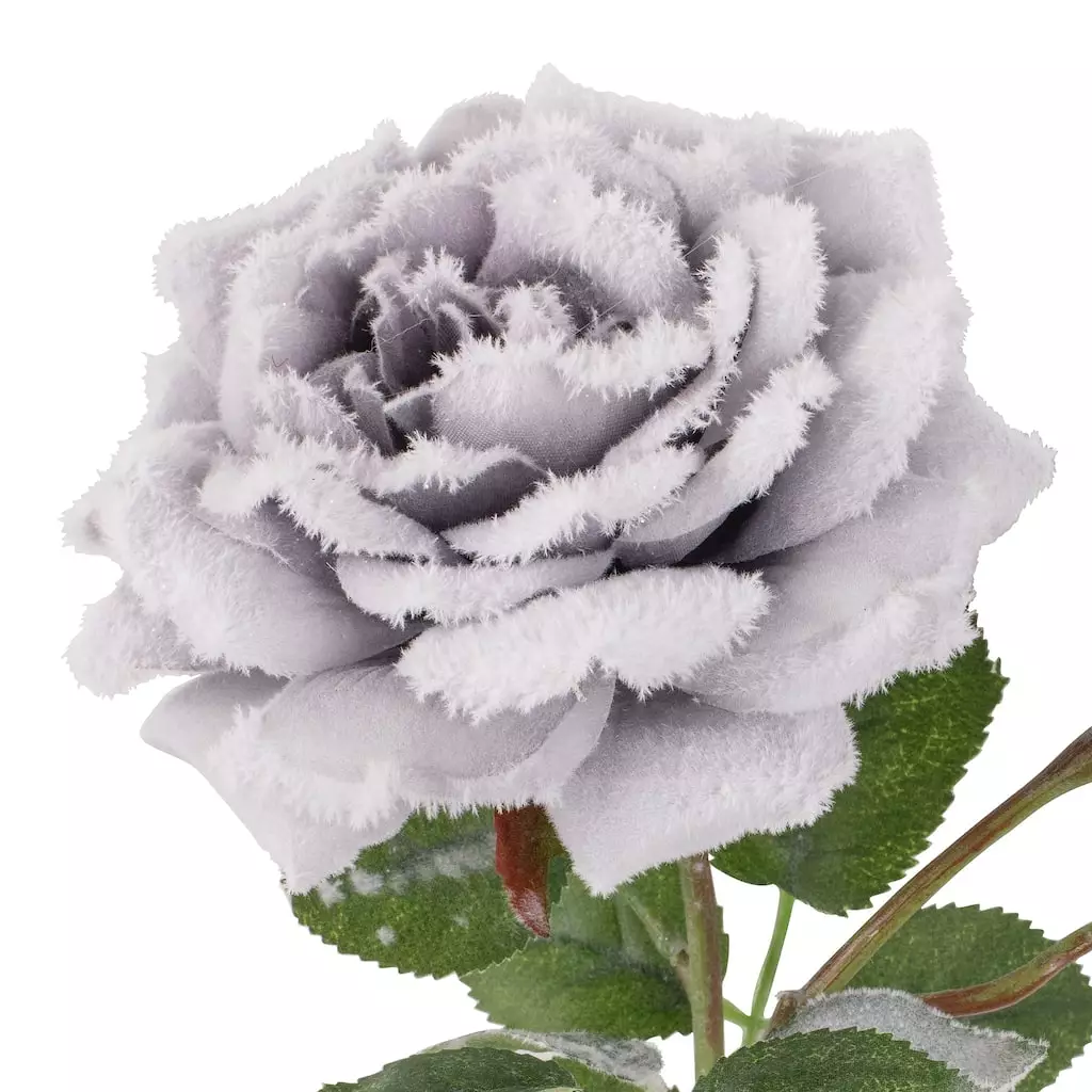Promo 🎉 Gray Snowy Rose Stem by Ashland® ✨ 4 Promo 🎉 Gray Snowy Rose Stem by Ashland® ✨ - Image 2