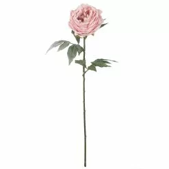 New 👏 Light Pink Snowy Peony Stem by Ashland® 👍
