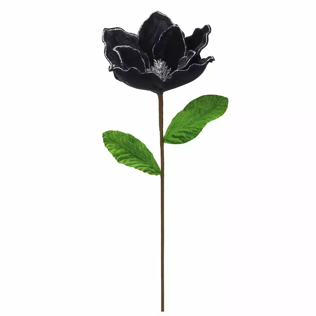 Best reviews of 🧨 Black Velvet Magnolia Stem by Ashland® ⌛ 3 Best reviews of 🧨 Black Velvet Magnolia Stem by Ashland® ⌛