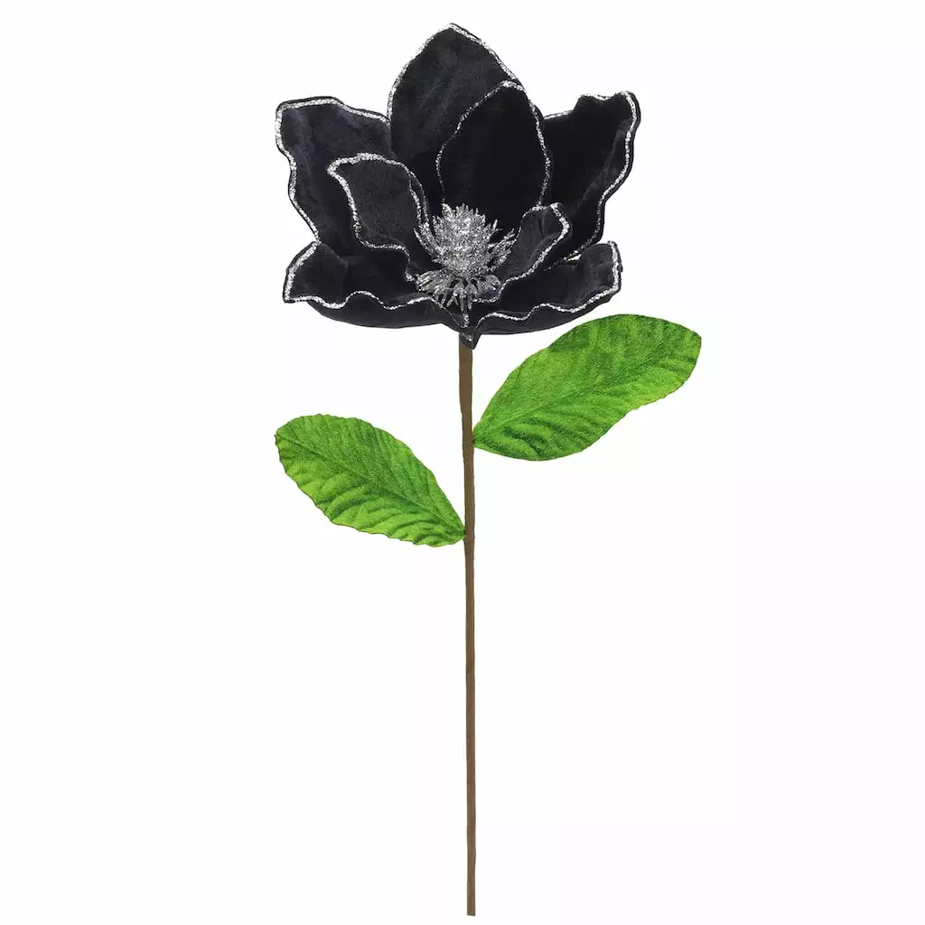 Best reviews of 🧨 Black Velvet Magnolia Stem by Ashland® ⌛ 4 Best reviews of 🧨 Black Velvet Magnolia Stem by Ashland® ⌛ - Image 2