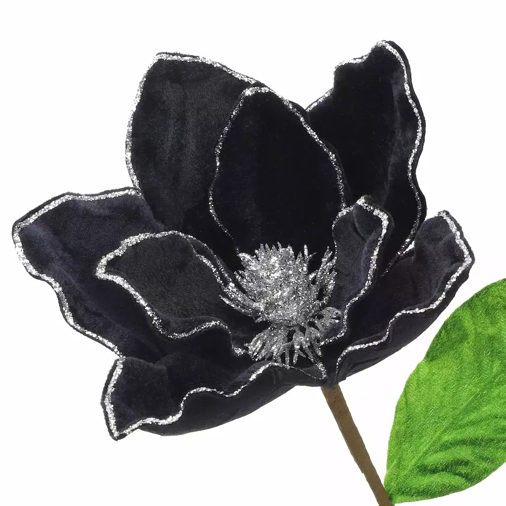 Best reviews of 🧨 Black Velvet Magnolia Stem by Ashland® ⌛ 5 Best reviews of 🧨 Black Velvet Magnolia Stem by Ashland® ⌛ - Image 3