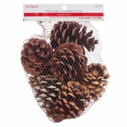 Discount ❤️ Cinnamon Scented Pinecones by Ashland® 🥰