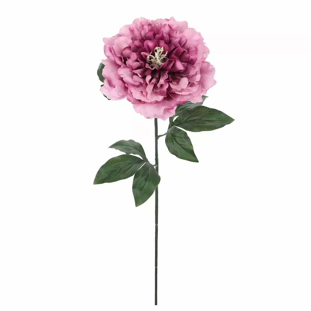 Best Pirce 🧨 Snow-Speckled Pink Peony Stem by Ashland® ⭐ 4 Best Pirce 🧨 Snow-Speckled Pink Peony Stem by Ashland® ⭐ - Image 2