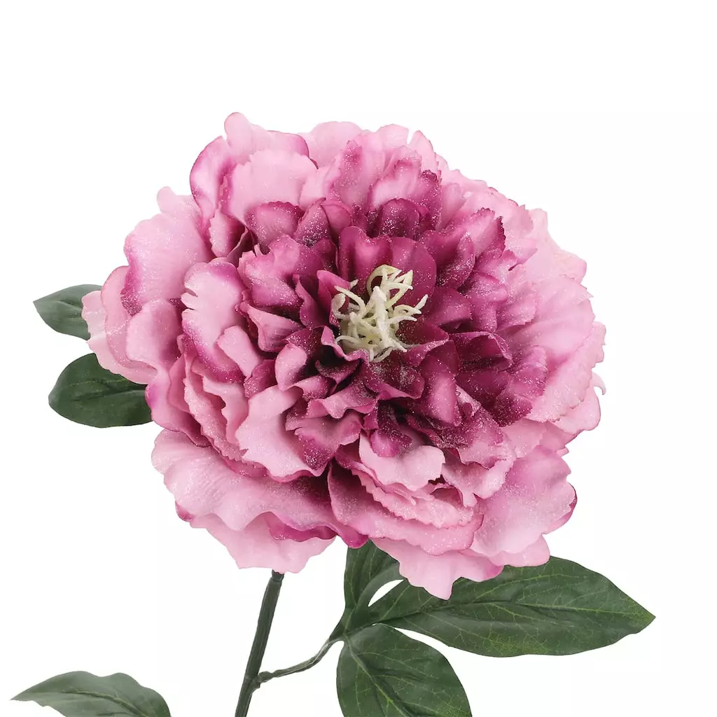 Best Pirce 🧨 Snow-Speckled Pink Peony Stem by Ashland® ⭐ 5 Best Pirce 🧨 Snow-Speckled Pink Peony Stem by Ashland® ⭐ - Image 3