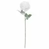 Cheap ✨ Snow Covered White Rose Stem by Ashland® 🔔 -Michaels Store 10701034 1