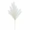 Best deal ✨ White Pampas Branch Stem by Ashland® ⭐ -Michaels Store 10701035 1