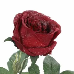 Cheap ⌛ Iced Red Rose Stem by Ashland® ⭐ -Michaels Store 10701048 3