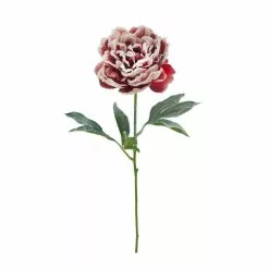 Cheap ⌛ Snowy Red Peony Stem by Ashland® 😀