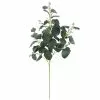 Cheap ๐งจ Dark Green Eucalyptus Stem by Ashland® โค๏ธ 1 Cheap ๐งจ Dark Green Eucalyptus Stem by Ashland® โค๏ธ -Michaels Store 10701058 1