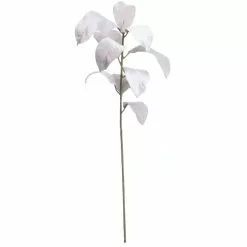 Cheap 😀 White Velvet Magnolia Leaves Stem by Ashland® ❤️