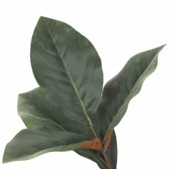 Best Pirce ❤️ Dark Green Magnolia Leaf Stem by Ashland® 😉 -Michaels Store 10701060 3