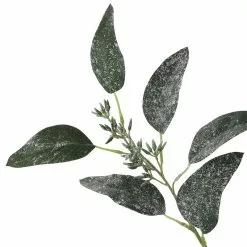 Best reviews of π Dark Green Iced Eucalyptus Leaf Stem by Ashland® β 7 Best reviews of π Dark Green Iced Eucalyptus Leaf Stem by Ashland® β -Michaels Store 10701061 3