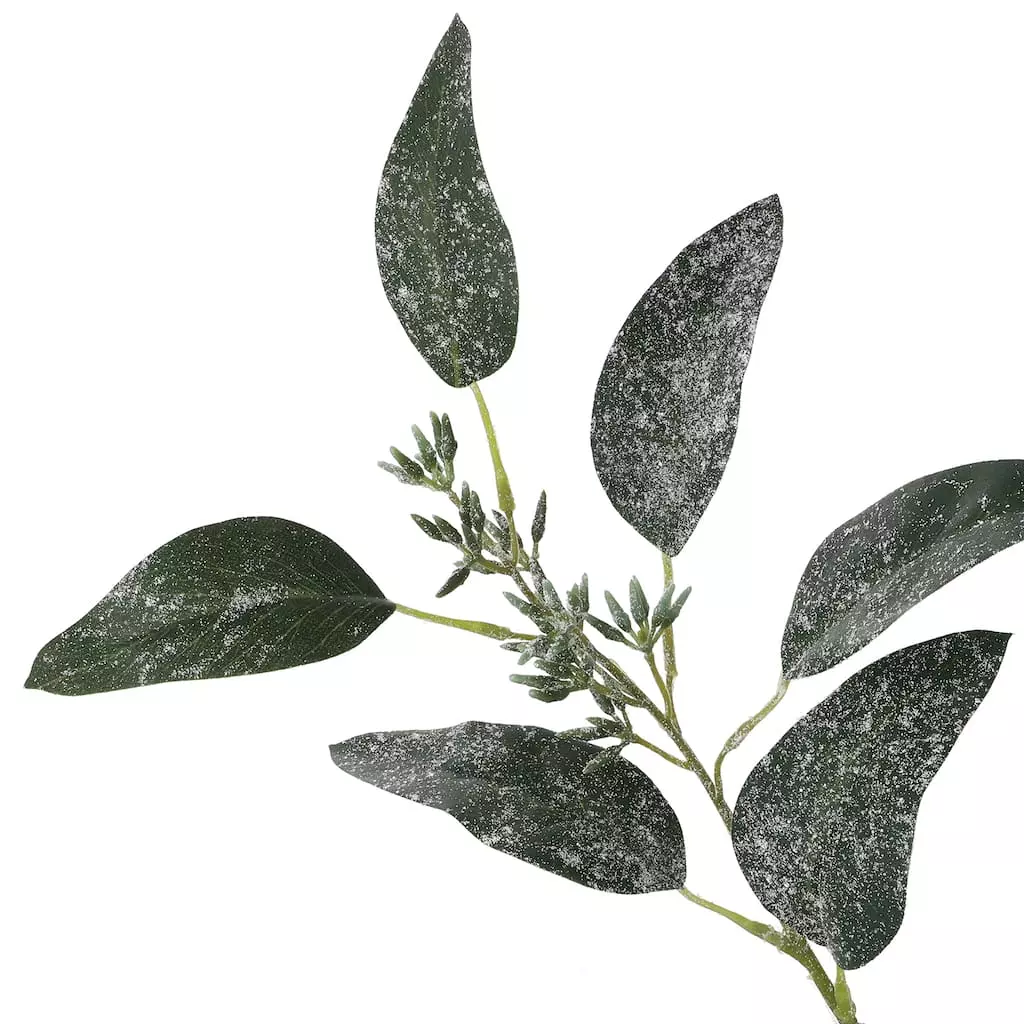 Best reviews of π Dark Green Iced Eucalyptus Leaf Stem by Ashland® β 5 Best reviews of π Dark Green Iced Eucalyptus Leaf Stem by Ashland® β - Image 3