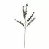 Buy ⭐ Snowy Eucalyptus Stem by Ashland® ✨ -Michaels Store 10701309 1