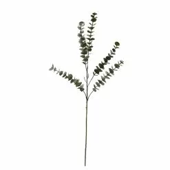 Buy ⭐ Snowy Eucalyptus Stem by Ashland® ✨