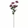 Brand new ✔️ Plum Poinsettia Stem by Ashland® 🥰 -Michaels Store 10701315 1