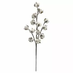 Promo ⭐ Iced Cotton Stem by Ashland® 😍