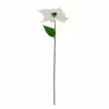 Brand new ⌛ White Poinsettia Stem by Ashland® 🌟