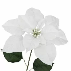 Hot Sale ⭐ Glittery White Poinsettia Stem by Ashland® 🧨 7 Hot Sale ⭐ Glittery White Poinsettia Stem by Ashland® 🧨 -Michaels Store 10701333 3