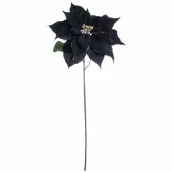 Budget 🎁 Black Poinsettia Stem by Ashland® 😍
