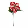 Cheapest 🎁 Red & White Poinsettia Stem by Ashland® ✔️ -Michaels Store 10701339 1
