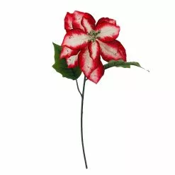 Cheapest 🎁 Red & White Poinsettia Stem by Ashland® ✔️